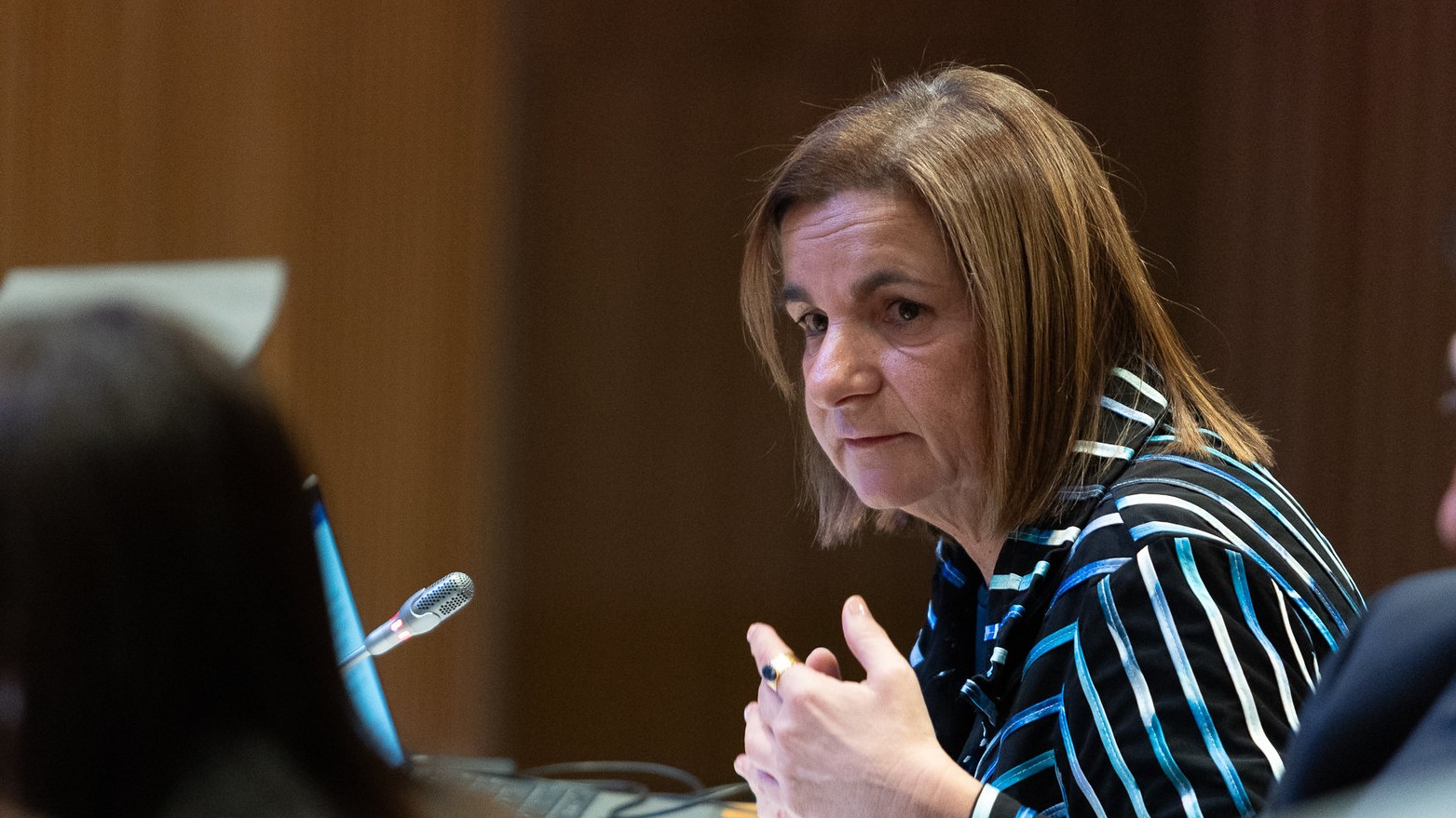 Consell General | Sergi Pérez