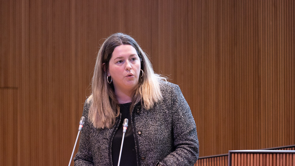 Consell General | Sergi Pérez