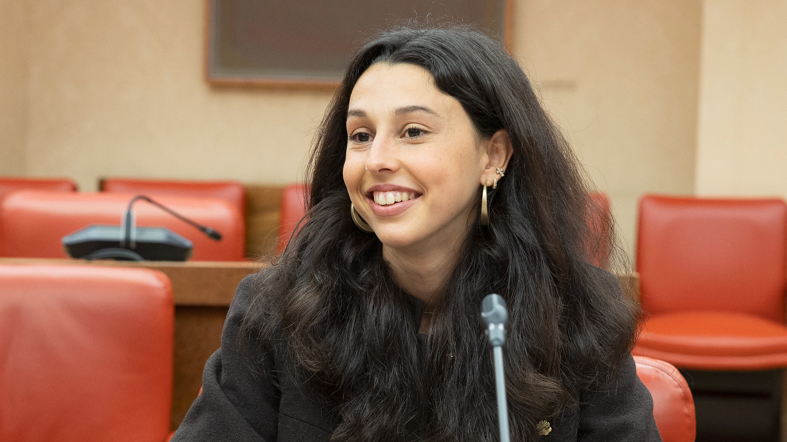 Consell General | Sergi Pérez