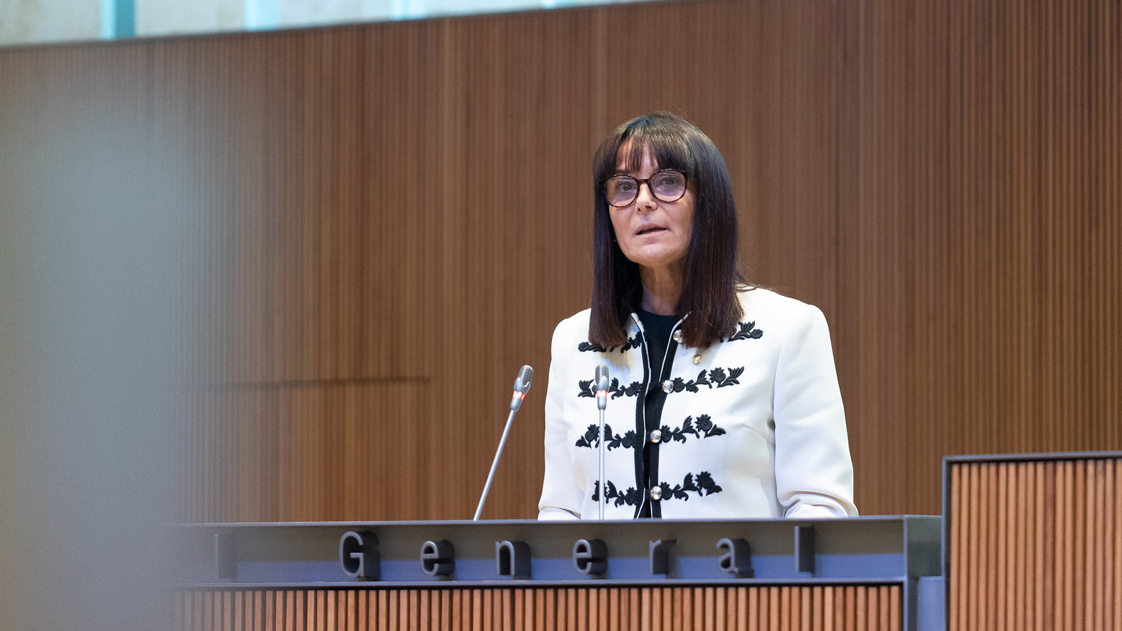 Sergi Pérez | Consell General