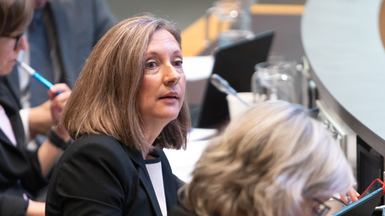 Sergi Pérez | Consell General