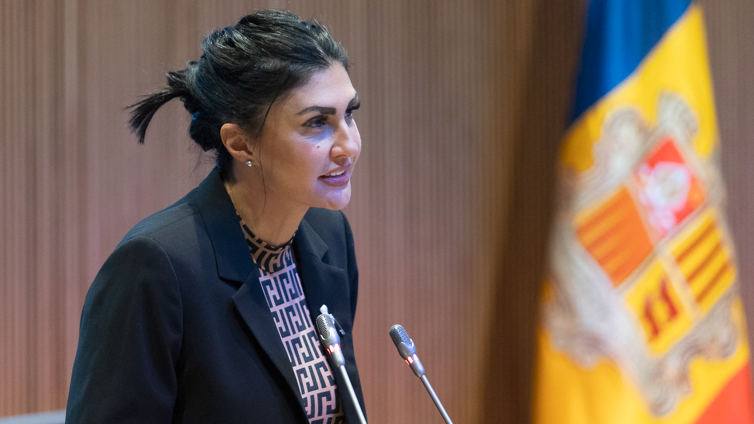 Consell General | Sergi Pérez