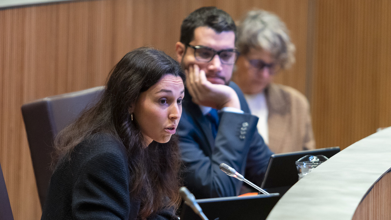 Consell General | Sergi Pérez