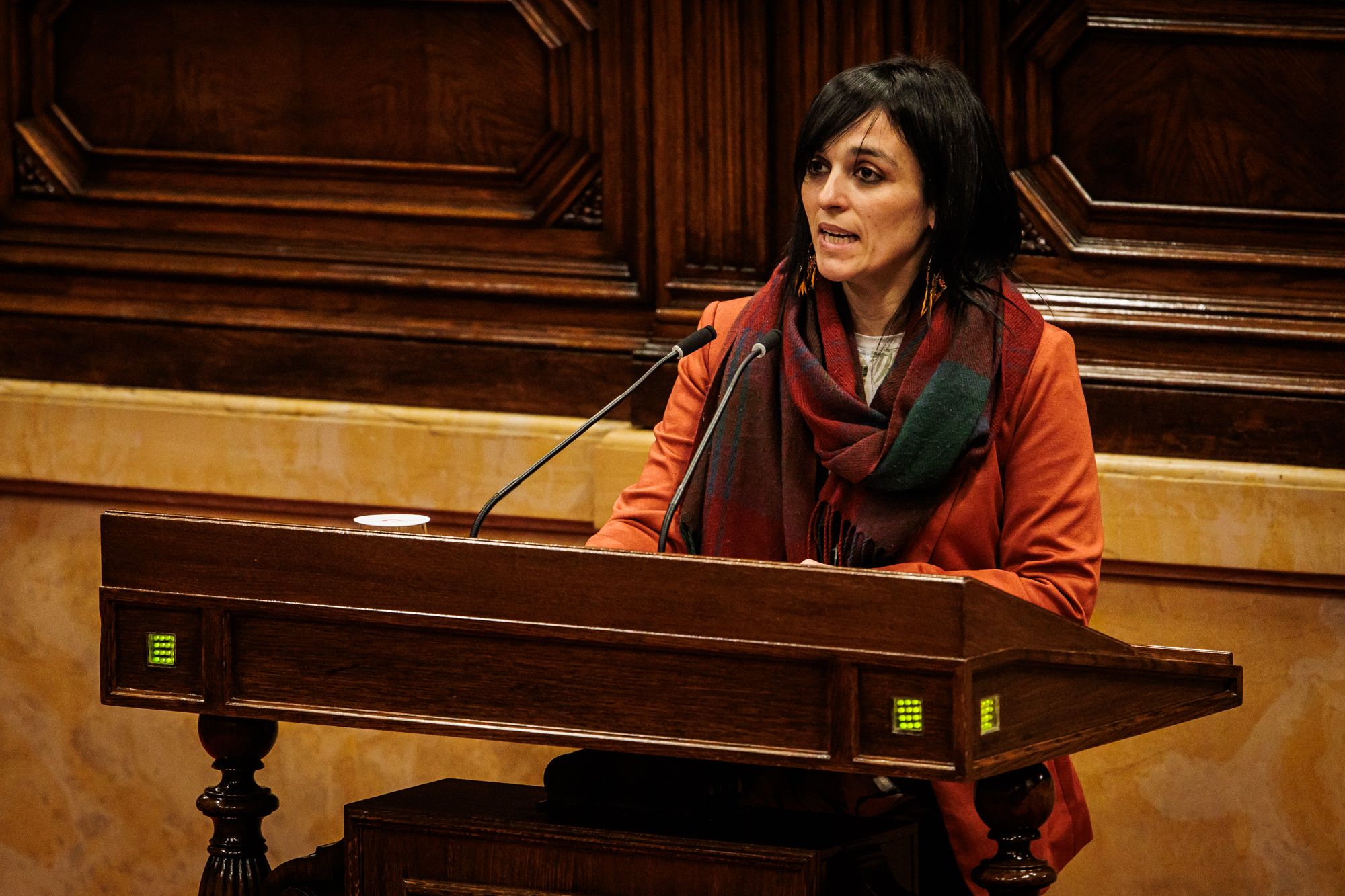 Sergi Ramos (Parlament de Catalunya)