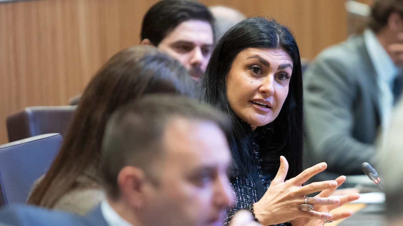 Consell General | Sergi Pérez