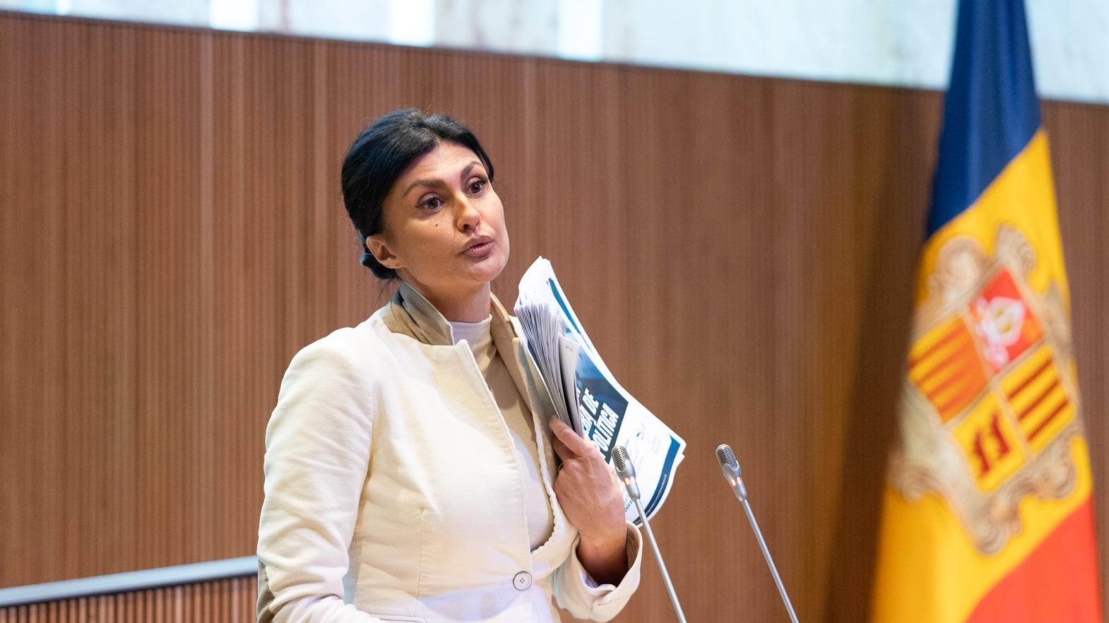 Sergi Pérez | Consell General