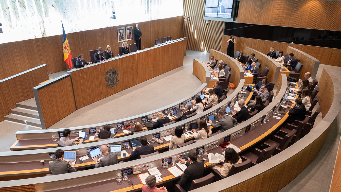Consell General |  Sergi Pérez 