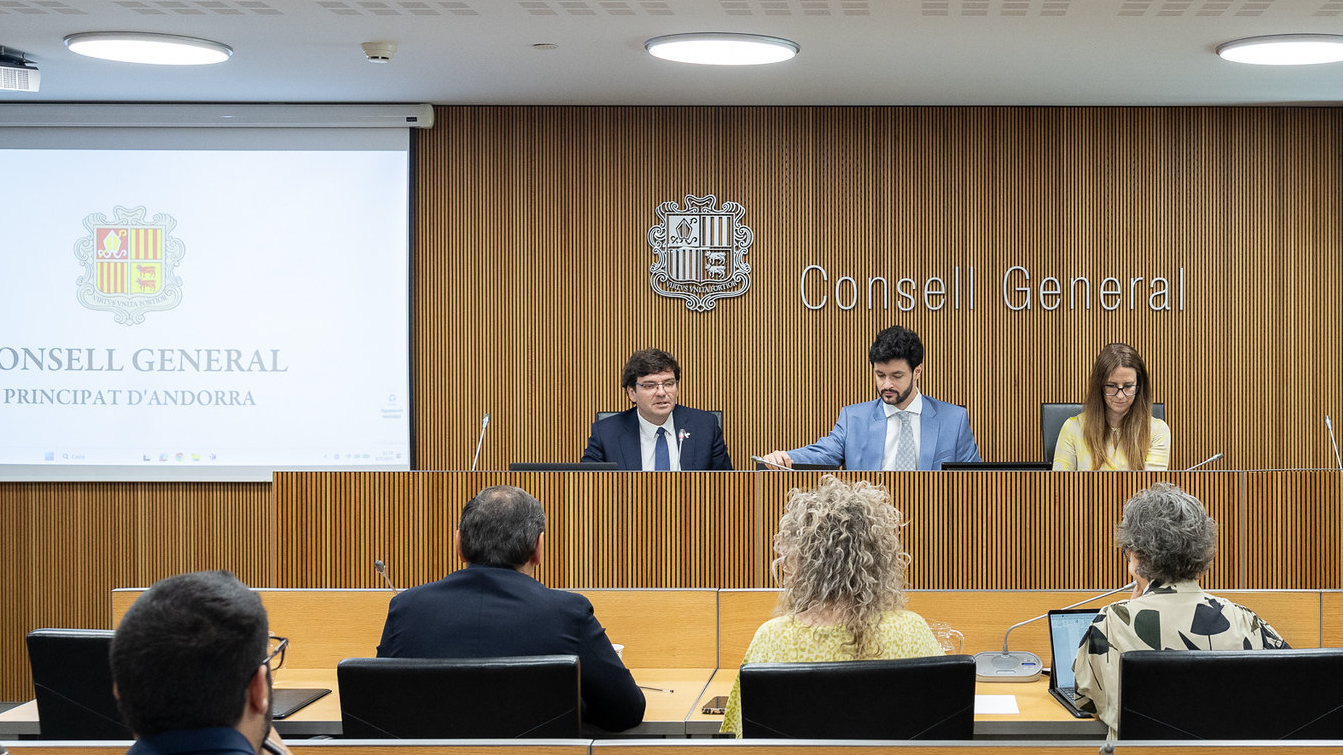 Sergi Pérez | Consell General