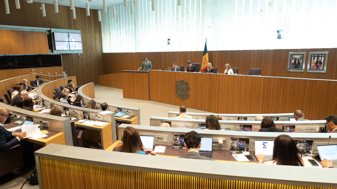 Consell General