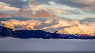 Neu