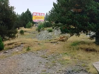 La Veu Lliure