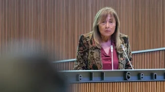 Consell General | Sergi Pérez