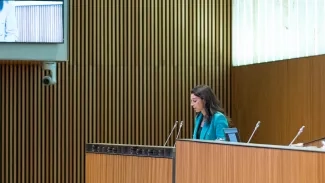 Consell General | Sergi Pérez