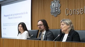 Consell General | Sergi Pérez