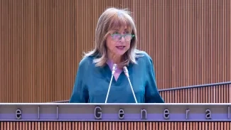 Consell General | Sergi Pérez