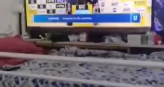 LVL