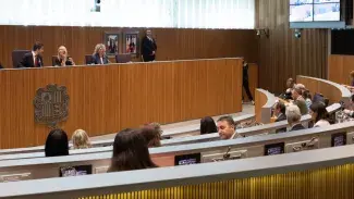 Consell General