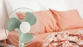 ARXIU