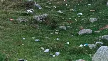 La Veu Lliure