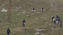 La Veu Lliure