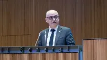 Consell General | Sergi Pérez