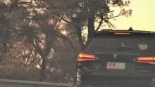 Mossos