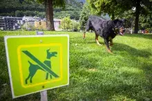 Comú d'Andorra la Vella / Tony Lara