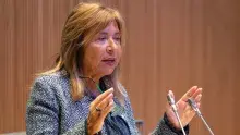 Sergi Pérez | Consell General