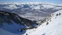 Masella | ARXIU