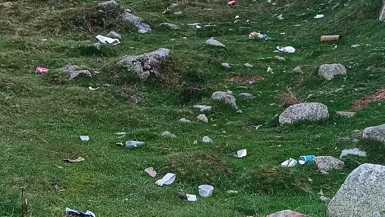 La Veu Lliure
